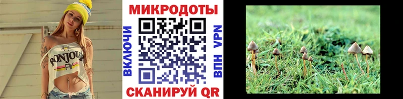 Галлюциногенные грибы GOLDEN TEACHER  MEGA ONION  Дубовка 