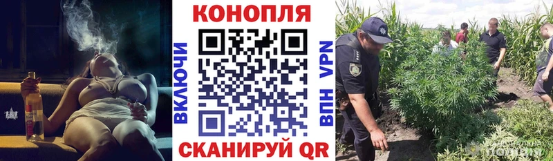 Конопля индика Дубовка